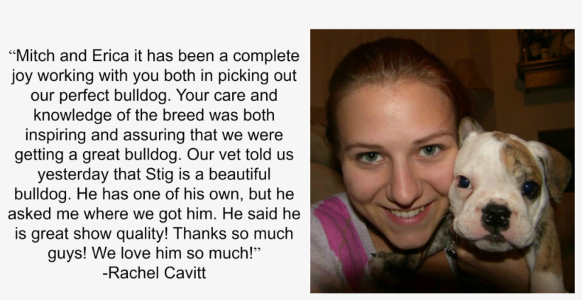 Most Of Our Bulldogs Will Go Home Right Around The - Rachel, transparent png download