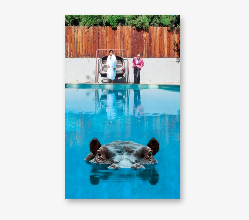 Image Of Hippopotamus Cassette - Sparks Hippopotamus, transparent png download