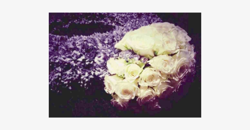 Garden Roses, transparent png download