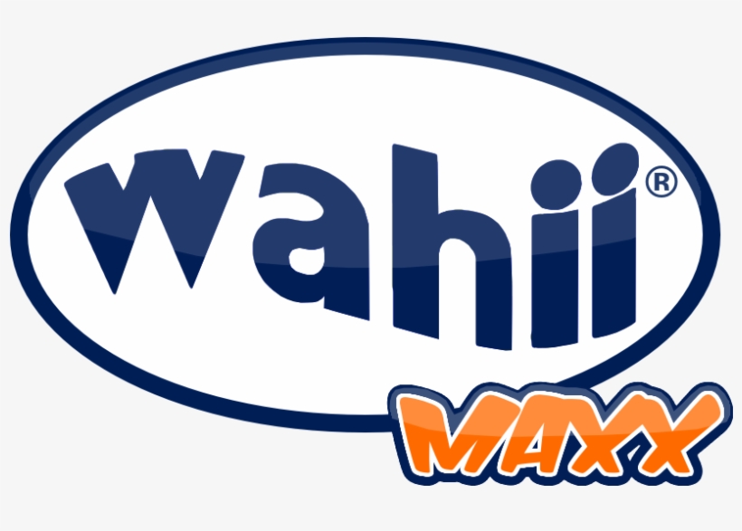 Wahii Waterslide, Biggest Backyard Water Slide - Water, transparent png download