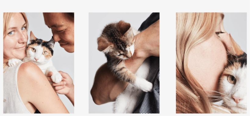 Smalls Portfolio8 - Kitten, transparent png download