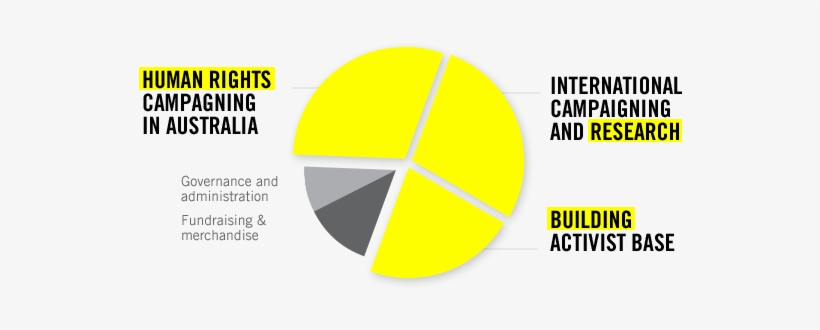 Pie Graph Illustrating Amnesty's Expenditure Allocations - Understanding Case Study Research: Small-scale Research, transparent png download