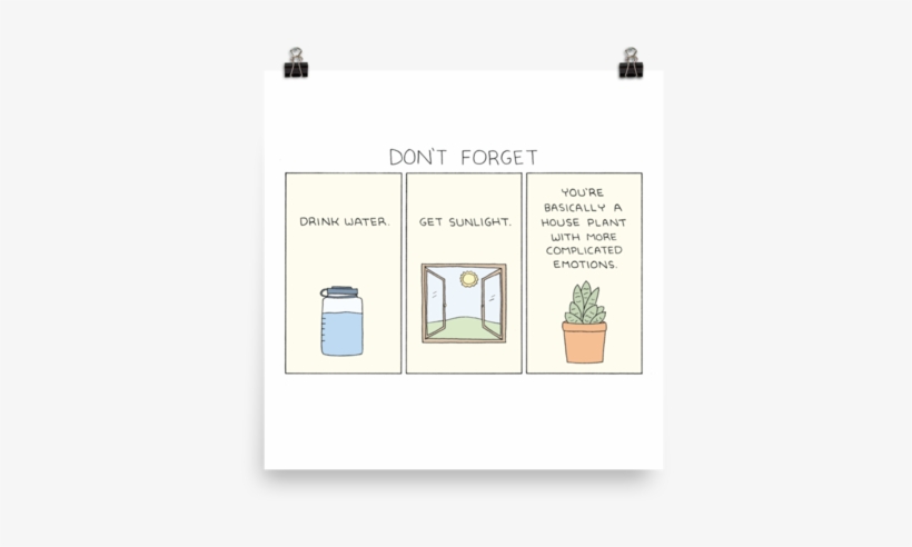 "don't Forget" Print - Don T Forget Drink Water Get Sunlight, transparent png download
