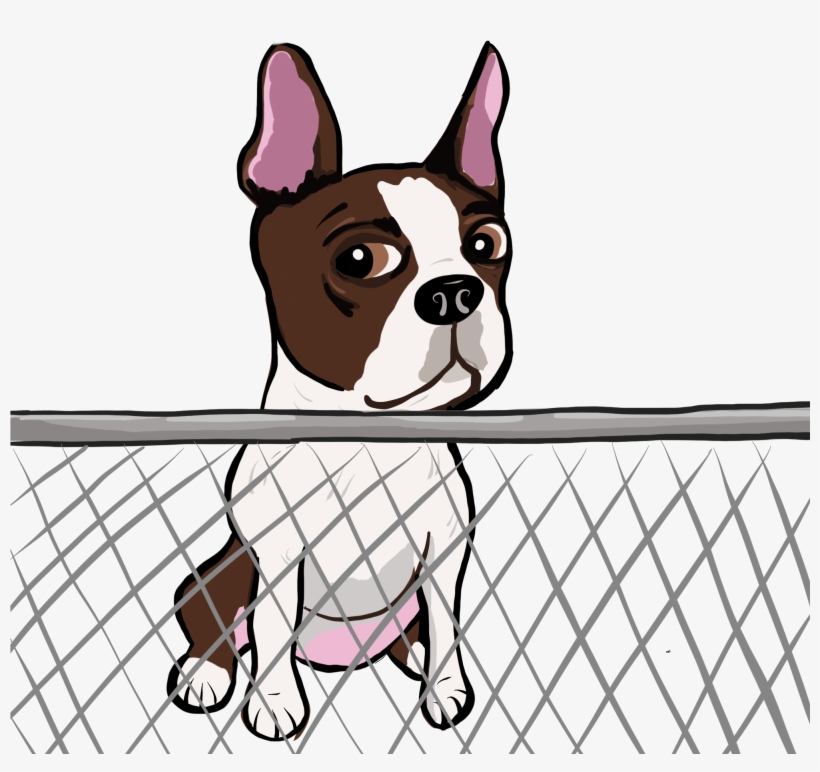 Cute Dogs Pictures - Dog, transparent png download