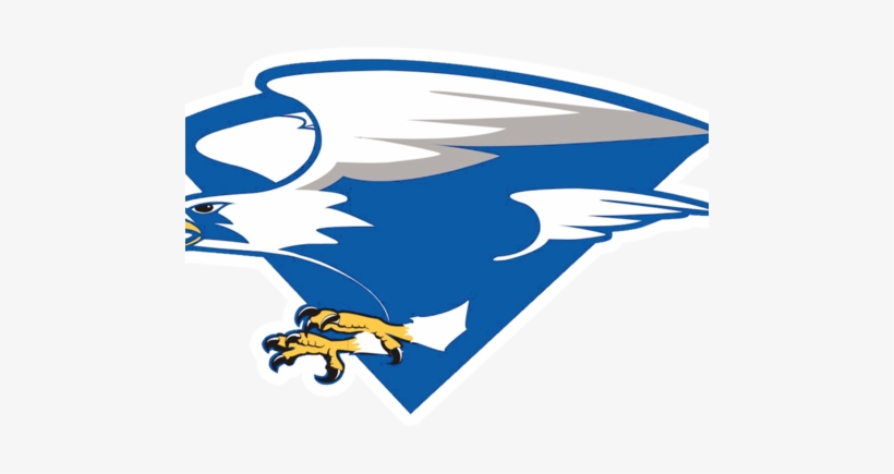 North Forney Falcons - Air Force Falcons Football, transparent png download