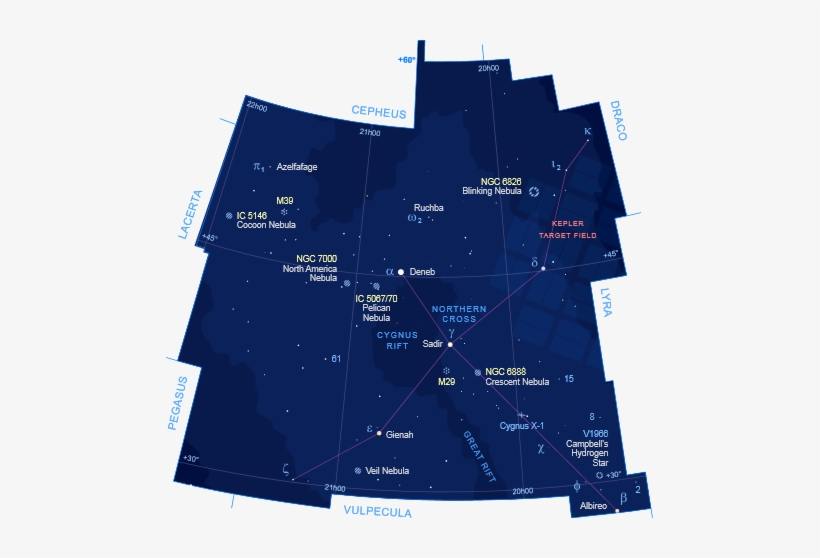 Located Northeast Of The First Magnitude Star Deneb - Cooler, transparent png download