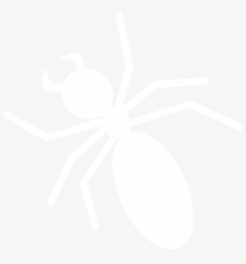 Cornell Lab Of Ornithology, transparent png download