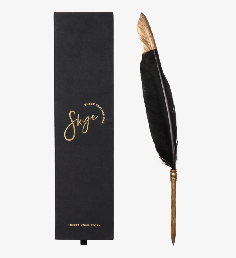 Feather, transparent png download