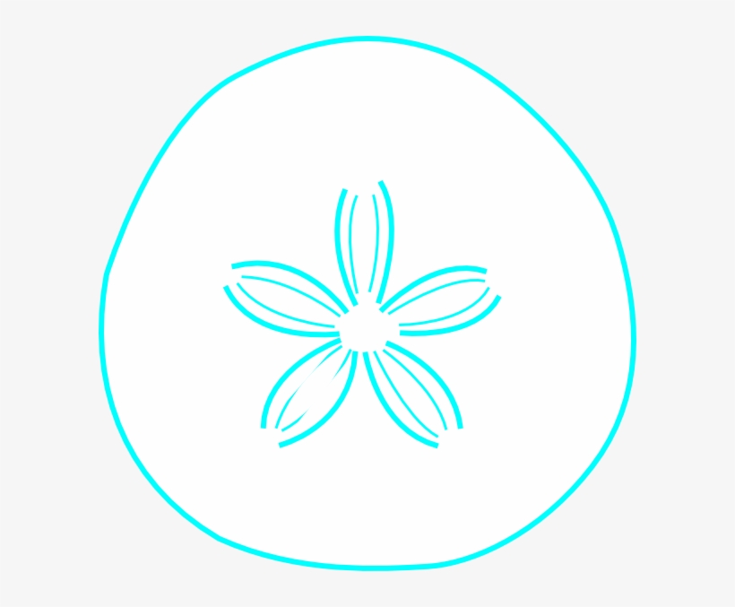 Sand Dollar Clipart - Muscle, transparent png download