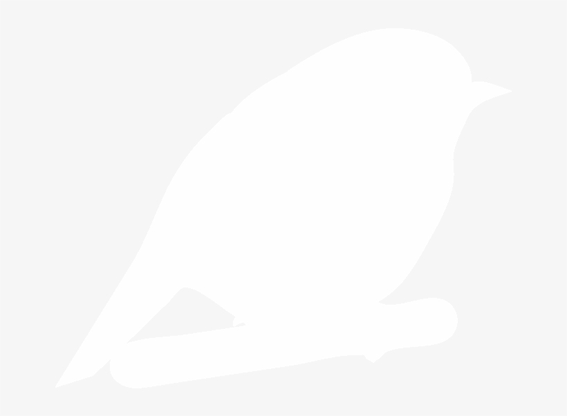 Food Birds - All About Birds, transparent png download