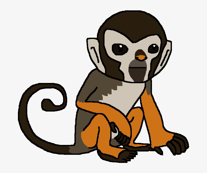 Squirrel Monkey, transparent png download