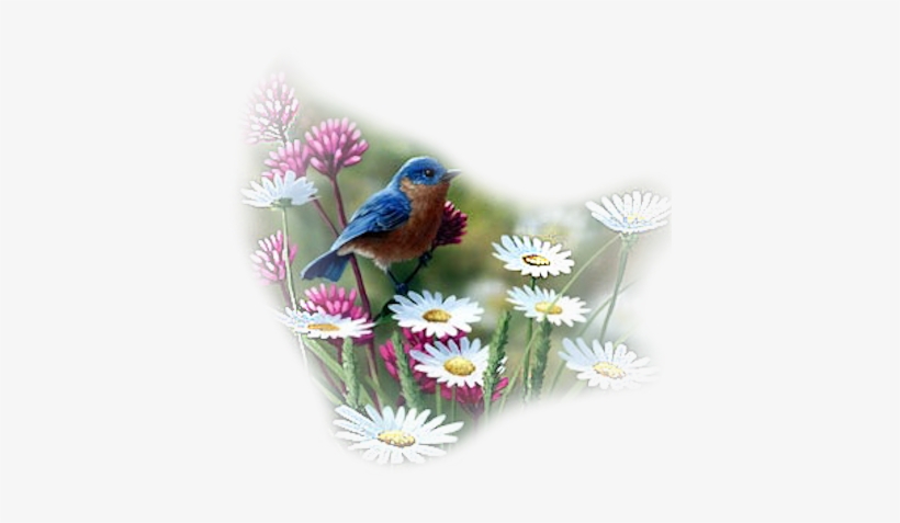 Dove Of Peace - Bradley Jackson Paintings, transparent png download
