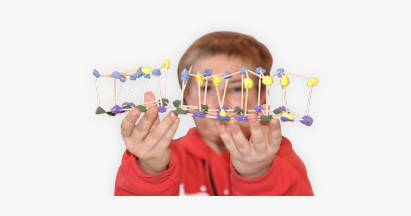 Next Generation Science Standard Student - Student, transparent png download