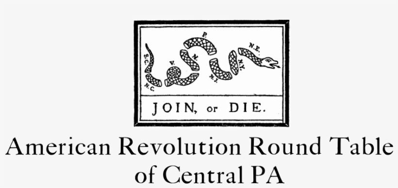 Bird, transparent png download