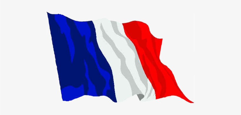 Reciprocal Exchange Between France And The United States - French Flag 19th Century, transparent png download