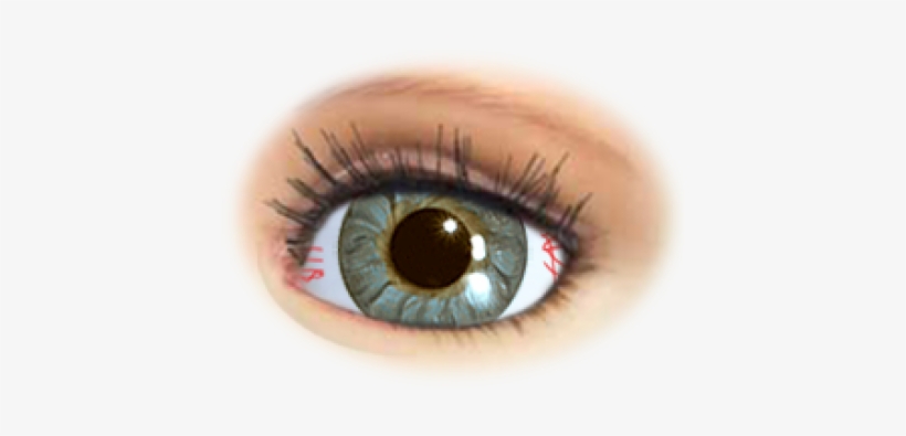 Designer Eyes - Eye, transparent png download