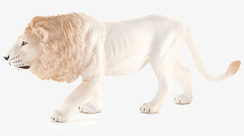 Animal Planet: White Male Lion, transparent png download