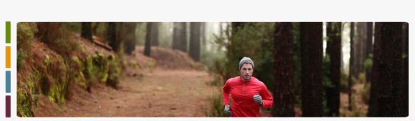 Individual Therapy - Training, transparent png download