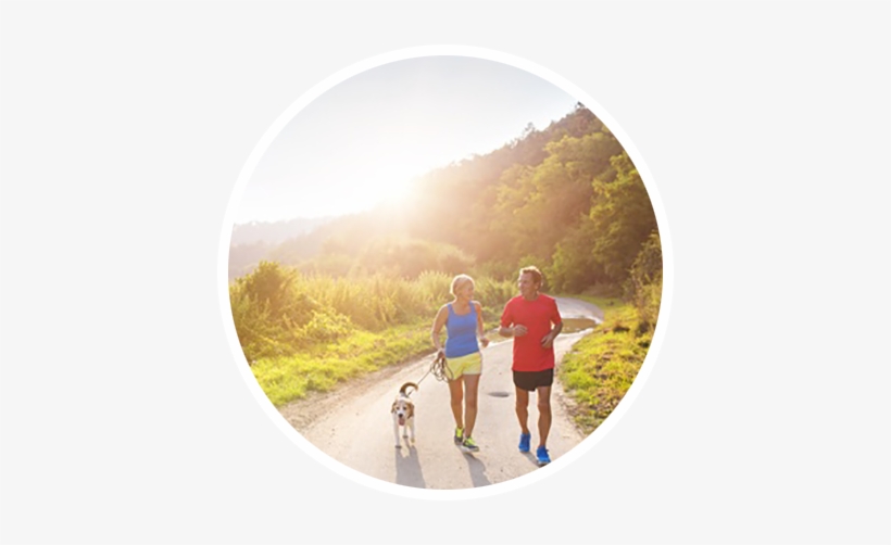 Our Services - Exercise Nature, transparent png download