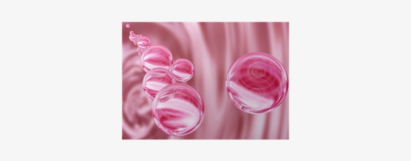 Champagne Stemware, transparent png download