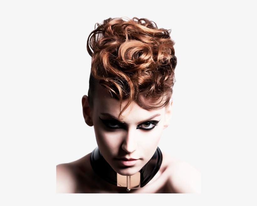 Cosmetology - Chignon Banane Sur Cheveux Bouclé, transparent png download