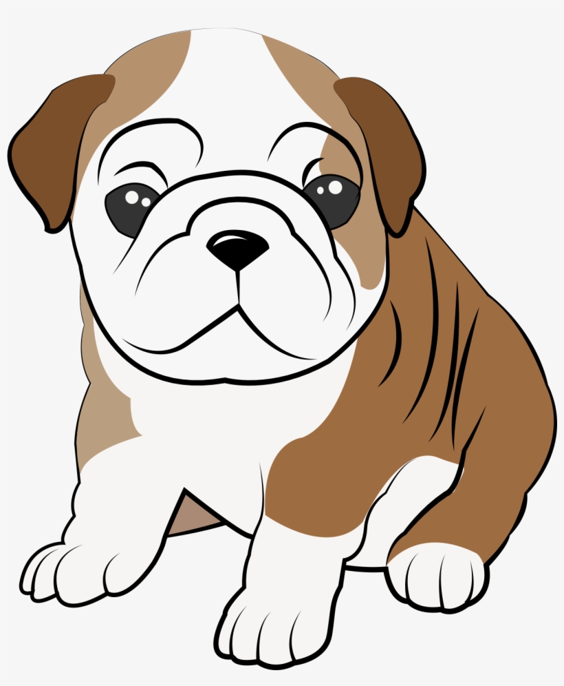 14 Bulldog Puppy - Dog, transparent png download