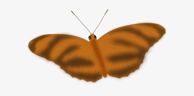 An Ethereal Butterfly Png Clip Arts - Vector Graphics, transparent png download