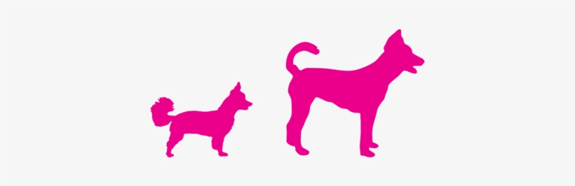 Woof Gang Bakery Inc - Woof Gang Bakery And Grooming, transparent png download