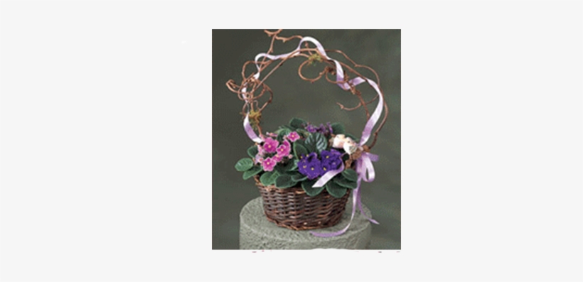 African Violet Basket - African Violets, transparent png download