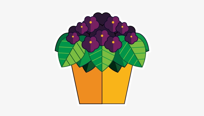 African Violets, transparent png download