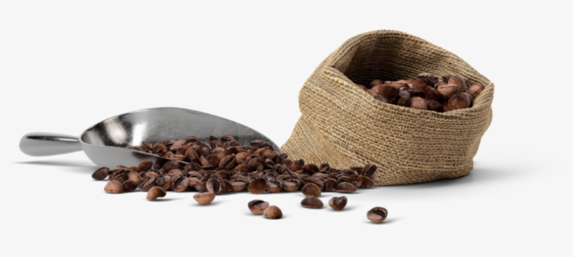 Coffee St Pete Black Crow Coffee Company - Black Crow Coffee Shop, transparent png download