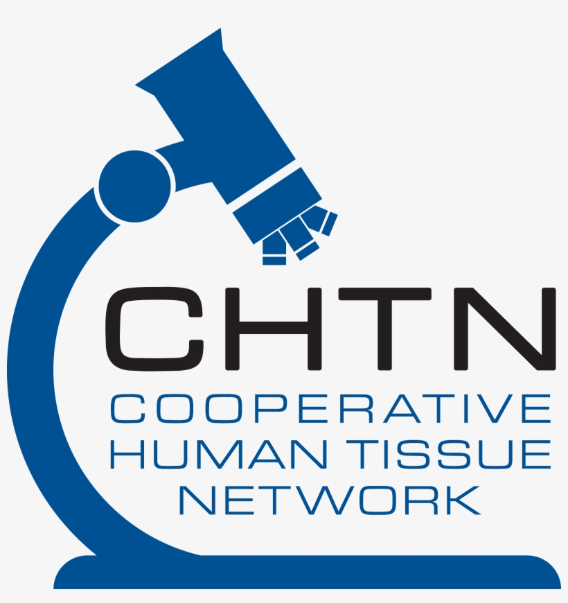Cooperative Human Tissue Network Logo - Logo Of Cooperative And Their History, transparent png download