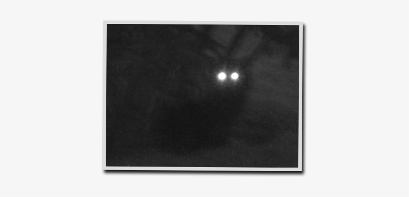 Luck Be A Mothman Tonight - Moon, transparent png download