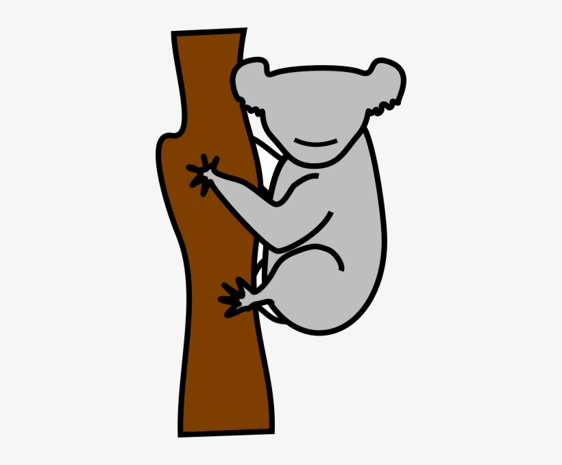 Koala, transparent png download