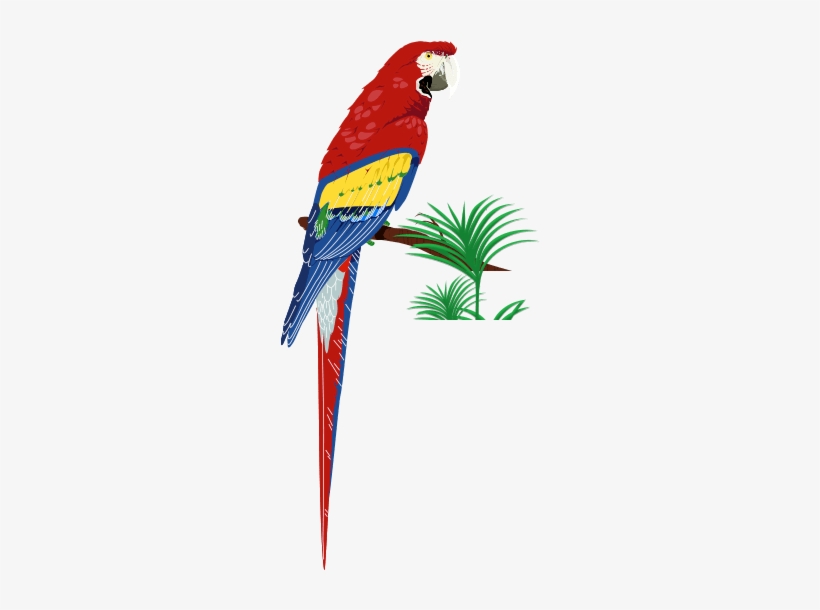 Farmer Girl Exotic Gardens - Excetic Birds, transparent png download