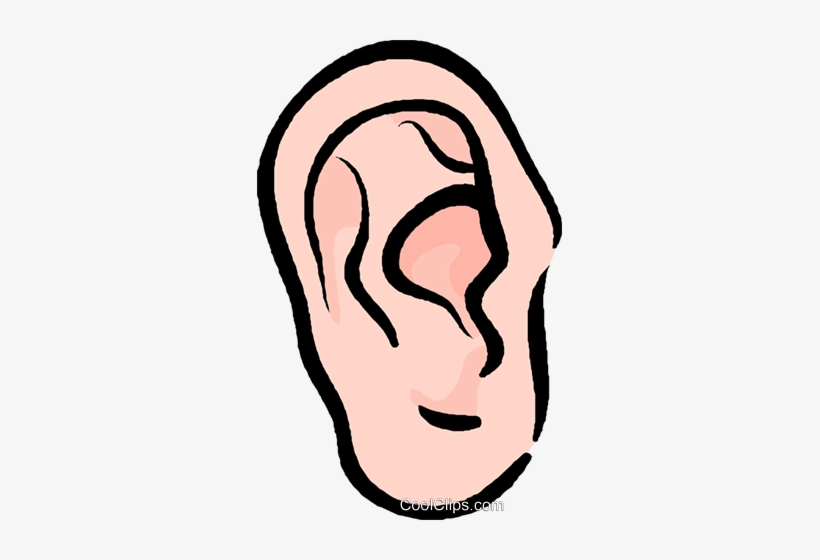 Human Ear Royalty Free Vector Clip Art Illustration - Ouvido Png, transparent png download