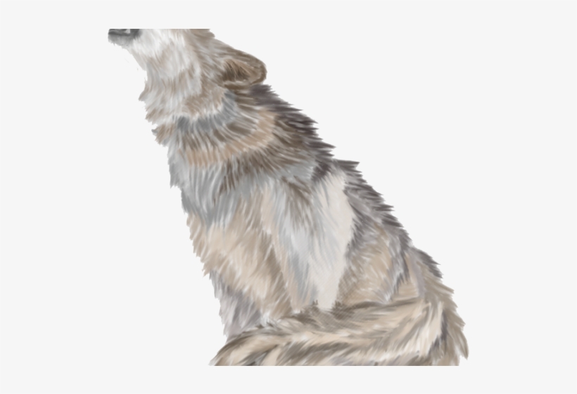 Wolf Png Transparent Images - Imagenes De Lobos En Png, transparent png download
