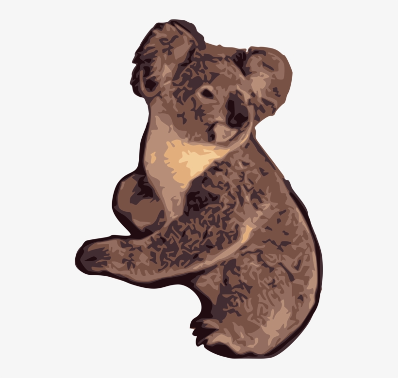 Vector Illustration Of Australian Arboreal Herbivorous - Koala, Phascolarctos Cinereus), Australien, Karte, transparent png download