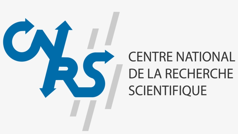 Real Birds Png - Logo Png Centre National De Recherche Scientifique, transparent png download