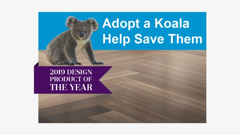 Koala, transparent png download