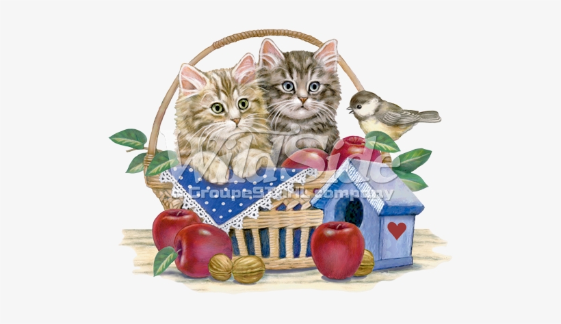 Apple Basket Kittens - Cat, transparent png download