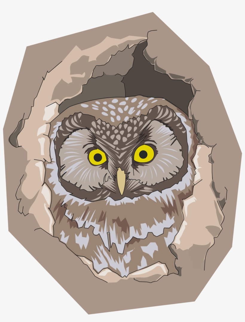 Big Image - Circle Mousepad With A Boreal Owl In His Hole, transparent png download
