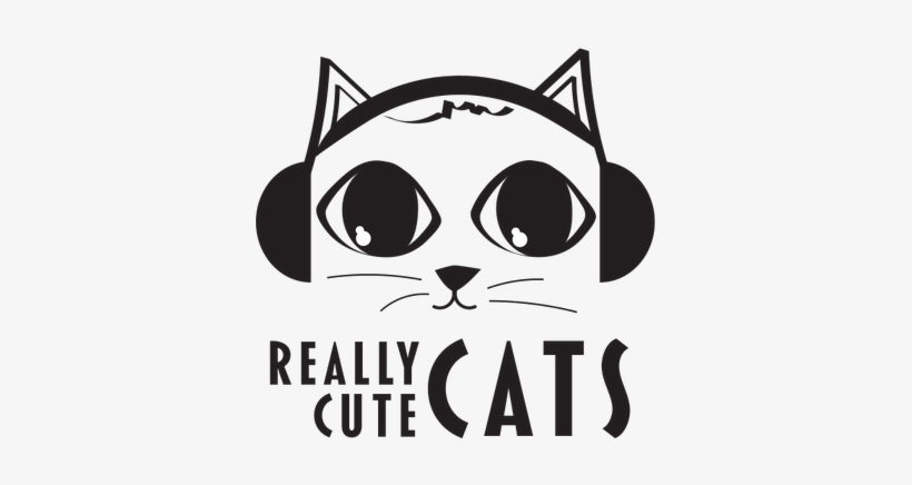 Really Cute Cat Picture - Cat, transparent png download
