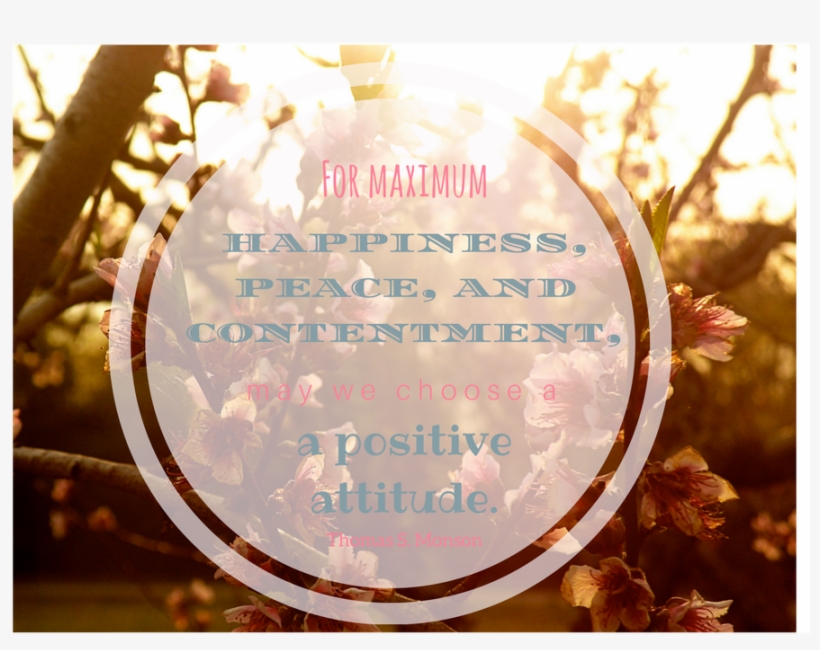 Oh How Hard It Is To Stay Positive Sometimes - Circle, transparent png download