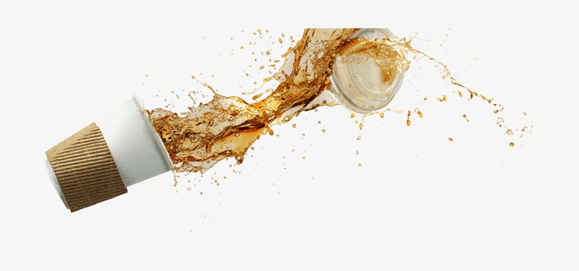 Gocovri Onboard Terms & Conditions - Still Life Photography, transparent png download