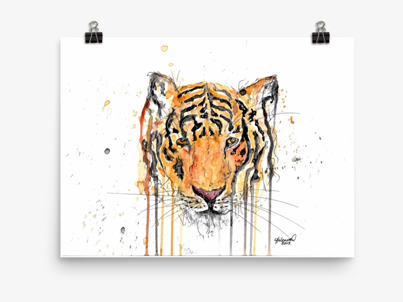 Image Of 'tiger' - Snow Leopard, transparent png download