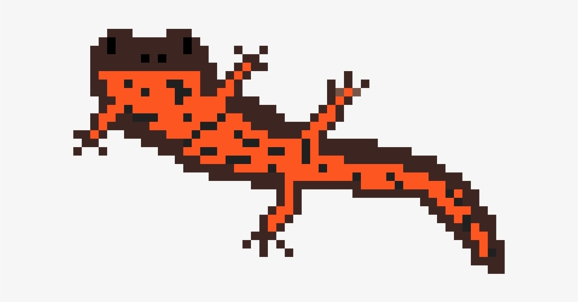 Newt - Oriental Fire-bellied Toad, transparent png download