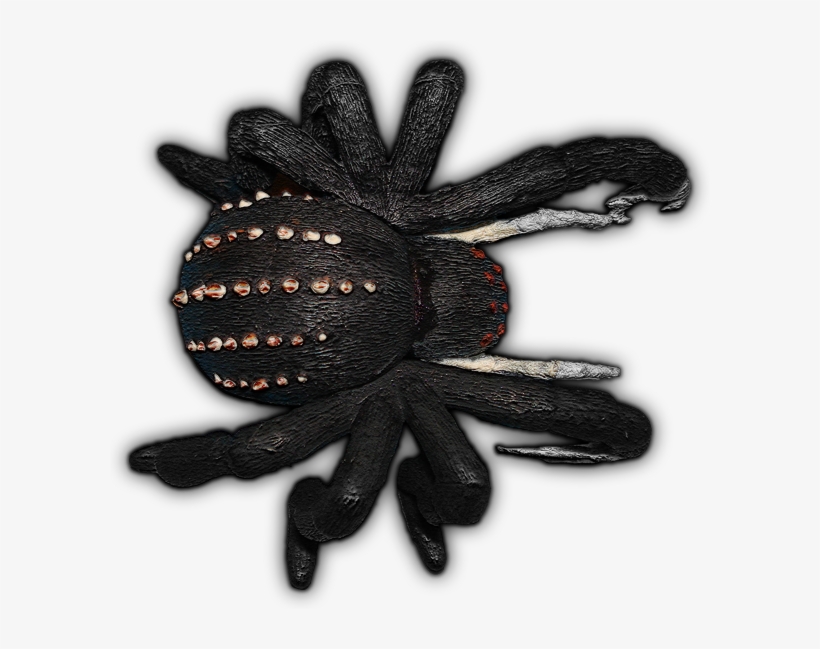 I Tried To Keep The Original Scale - Dundjinni Spider, transparent png download