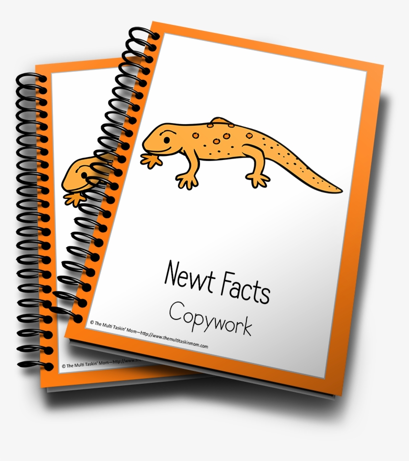 Newt Color And Copywork - Caderno Universitáiro Capa Dura Em Espiral Neymar 200, transparent png download