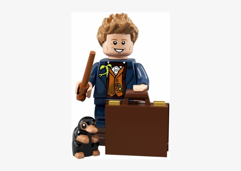 Lego® 71022-17 Newt Scamander Collectible Fantastic - Fantastic Beasts Lego Minifigures, transparent png download